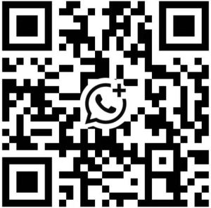 shanghai escorts